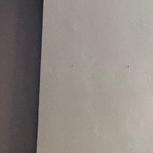 Meet your Posher, My toe licker😎